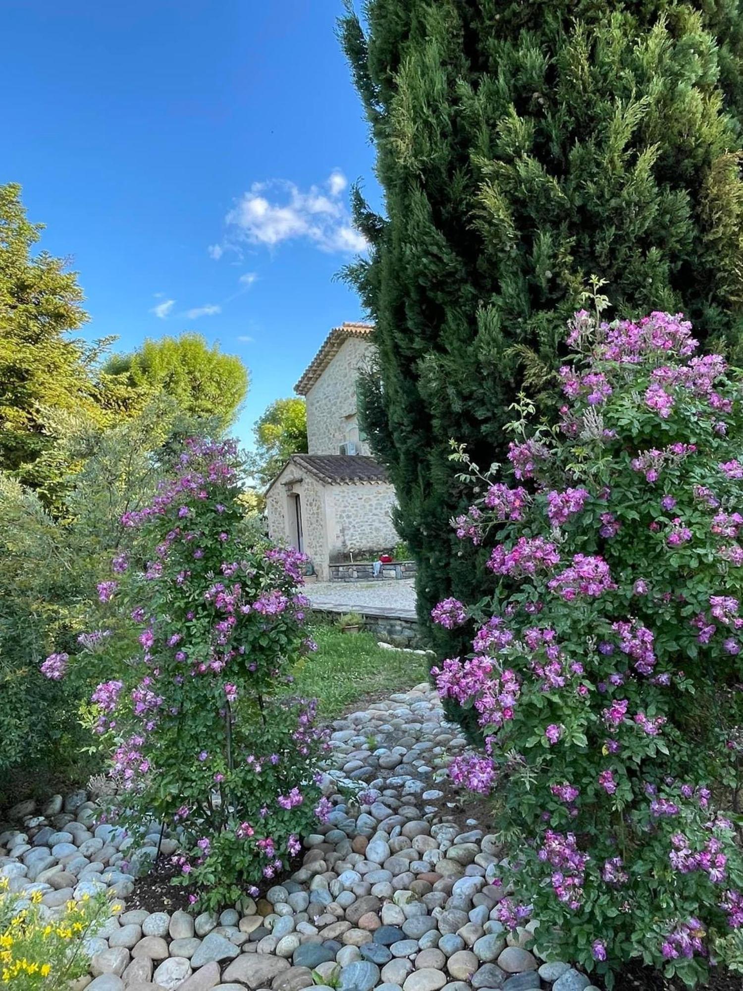 Mas D'Olive Et Kalou Bed & Breakfast Sauve Bagian luar foto